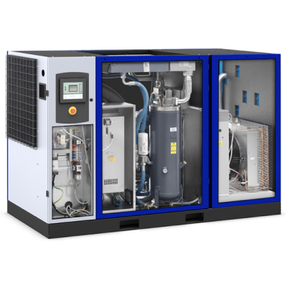 Винтовой компрессор Ceccato DRD 100 DRY A 13 CE